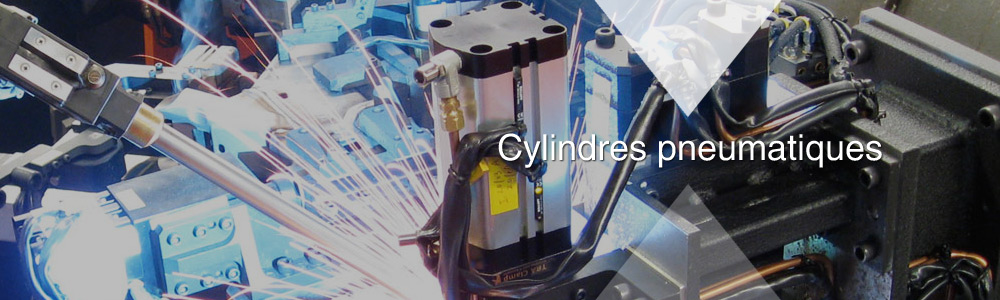 Pneumatic Cylindes